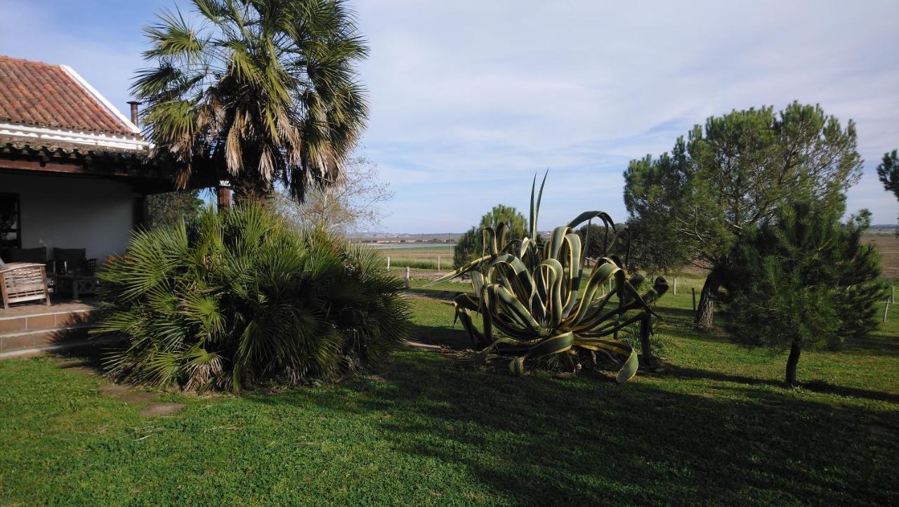 Lodge Monte Do Sobral Alcacovas Luaran gambar