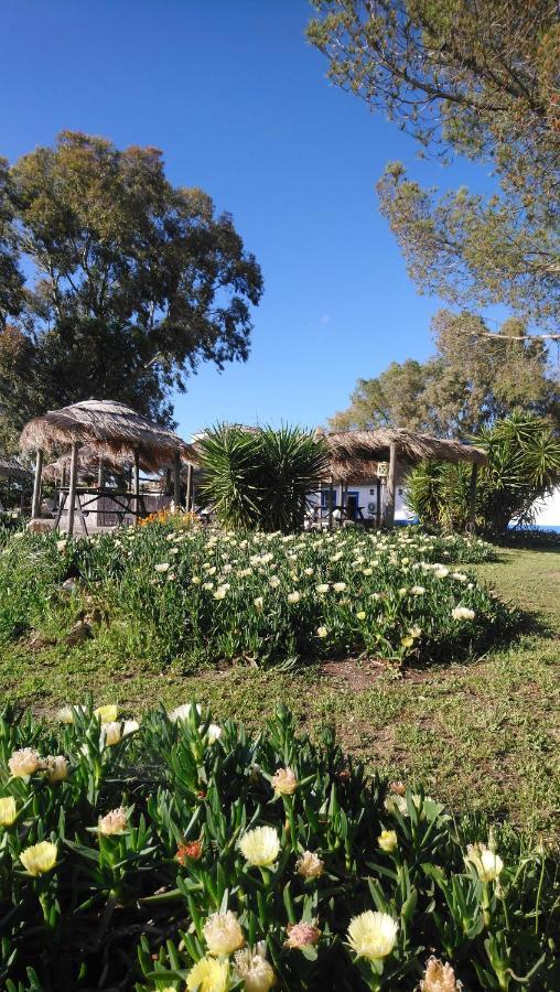 Lodge Monte Do Sobral Alcacovas Luaran gambar